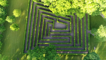 Hedge maze